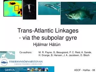 Trans-Atlantic Linkages - via the subpolar gyre