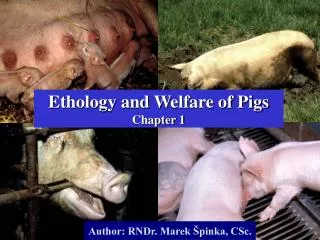 Ethology and W elfare of Pigs Chapter 1