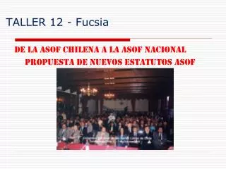 taller 12 fucsia