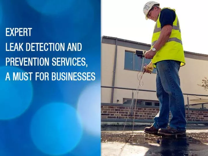expert leak detection and prevention services a must for businesses