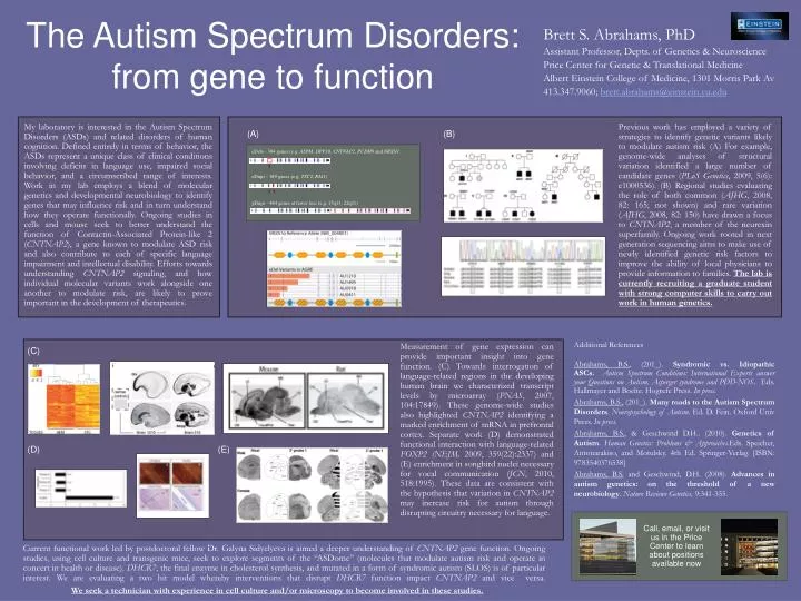 the autism spectrum disorders from gene to function
