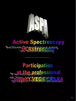 Participation at the professional project VEGA/CHARA