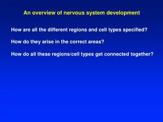 An overview of nervous system development