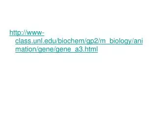 www-class.unl/biochem/gp2/m_biology/animation/gene/gene_a3.html