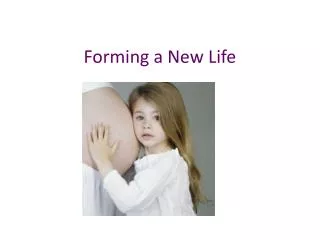 Forming a New Life