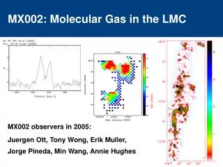 MX002: Molecular Gas in the LMC