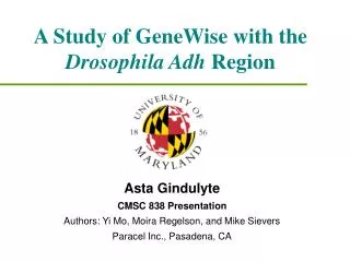 A Study of GeneWise with the Drosophila Adh Region