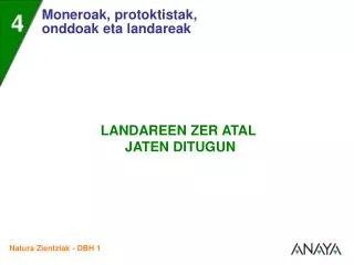 • Landareak oinarrizko elikagaiak dira jendearentzat .