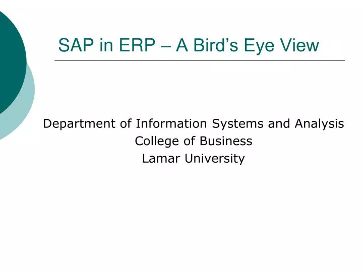 sap in erp a bird s eye view