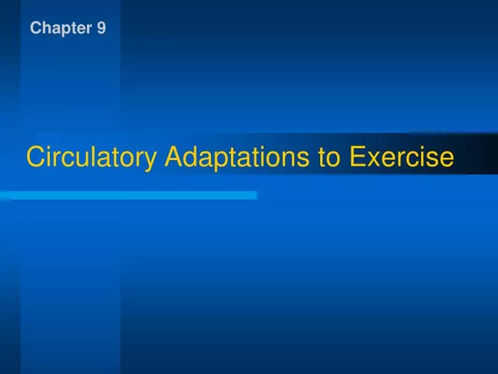 circulatory adaptations to exercise