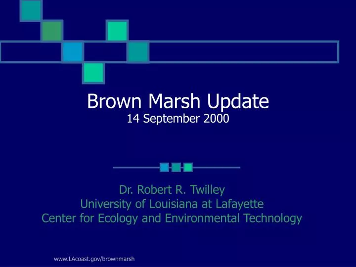 brown marsh update 14 september 2000