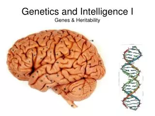 Genetics and Intelligence I Genes &amp; Heritability