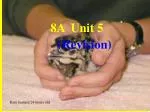 8A Unit 5 (Revision) - slide 1