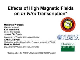 Effects of High Magnetic Fields on In Vitro Transcription*