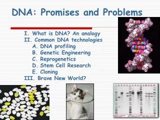 DNA: Promises and Problems