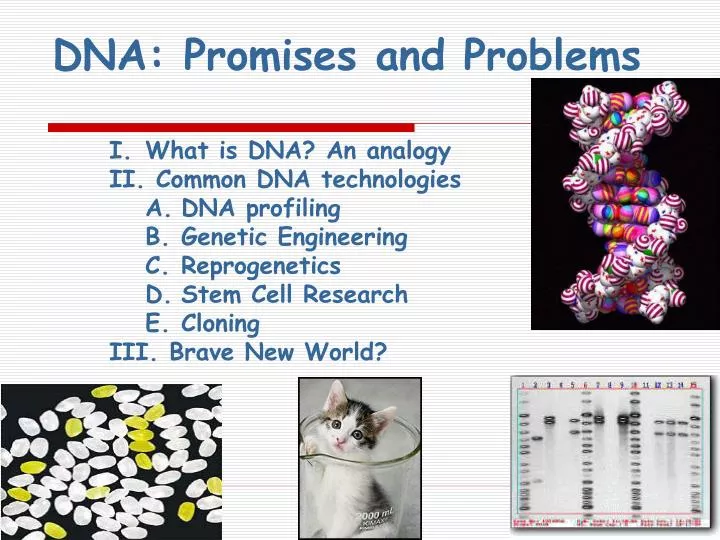 dna promises and problems