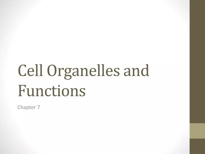 cell organelles and functions