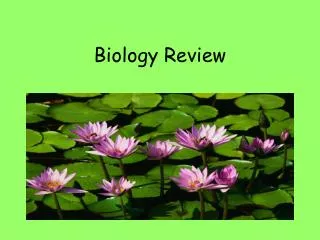 Biology Review