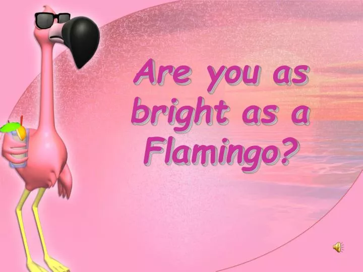 are you as bright as a flamingo