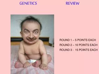 GENETICS REVIEW