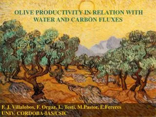 OLIVE PRODUCTIVITY IN RELATION WITH WATER AND CARBON FLUXES