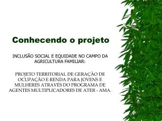 conhecendo o projeto