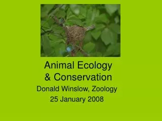 Animal Ecology &amp; Conservation