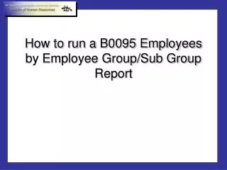 How to run a B0095 Employees by Employee Group/Sub Group Report