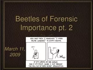 Beetles of Forensic Importance pt. 2