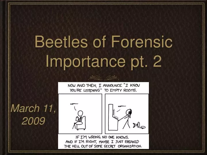 beetles of forensic importance pt 2