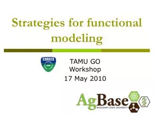 Strategies for functional modeling