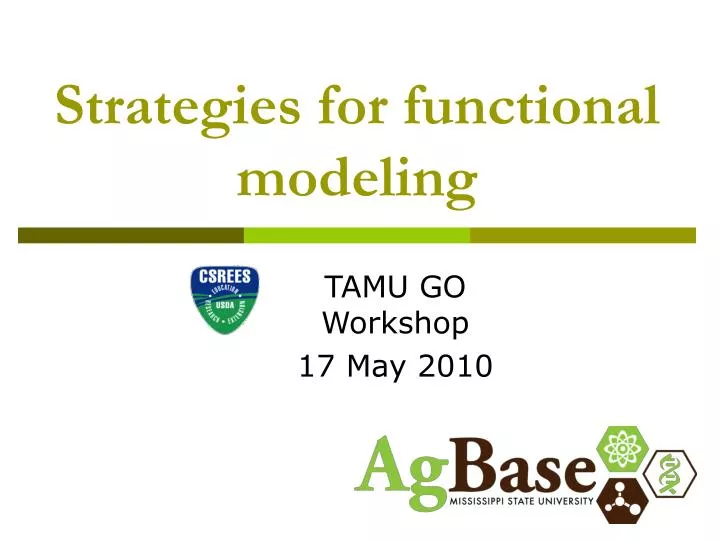 strategies for functional modeling