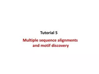 Multiple sequence alignments and motif discovery