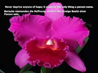 Never deprive anyone of hope; it could be the only thing a person owns.