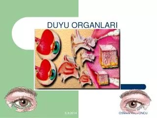 duyu organlari