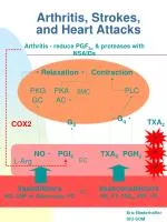 Arthritis, Strokes, and Heart Attacks