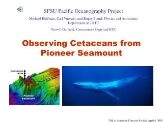 Observing Cetaceans from Pioneer Seamount