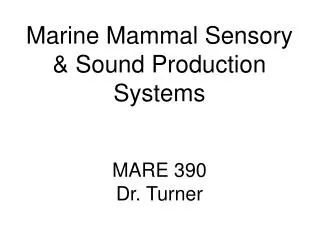 Marine Mammal Sensory &amp; Sound Production Systems MARE 390 Dr. Turner