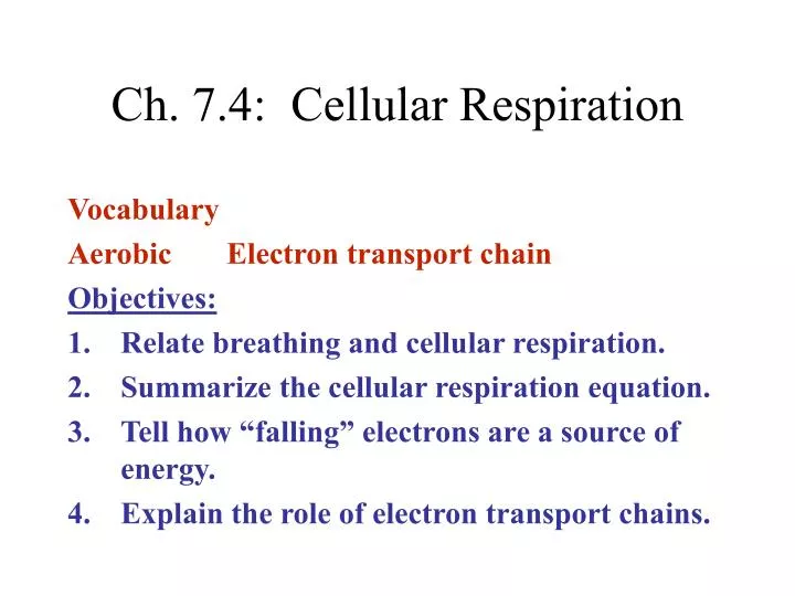 ch 7 4 cellular respiration