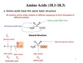 Amino Acids (18.1-18.3)