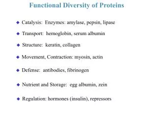 Functional Diversity of Proteins