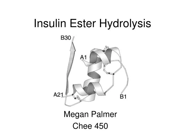 insulin ester hydrolysis