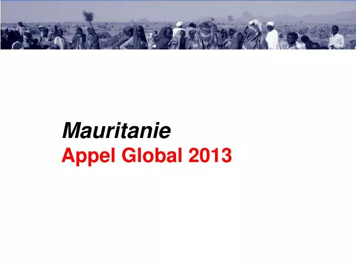 mauritanie appel global 2013