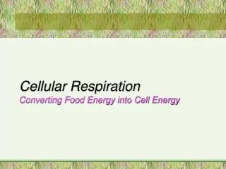 Cellular Respiration Converting Food Energy into Cell Energy