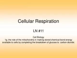cellular respiration