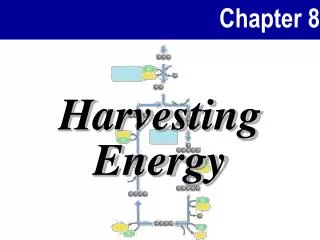 Harvesting Energy