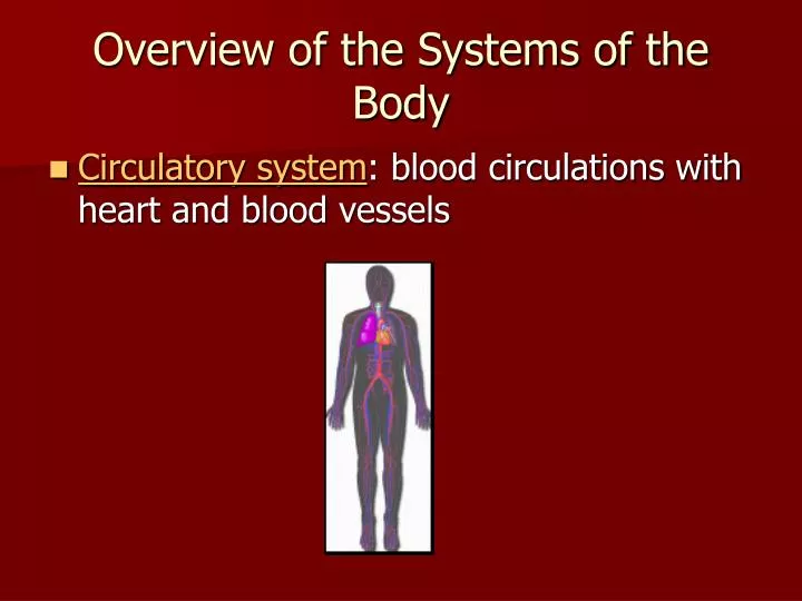 overview of the systems of the body