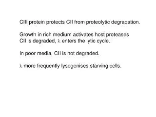 CIII protein protects CII from proteolytic degradation.