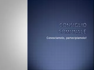 consiglio comunale