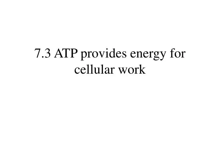 7 3 atp provides energy for cellular work